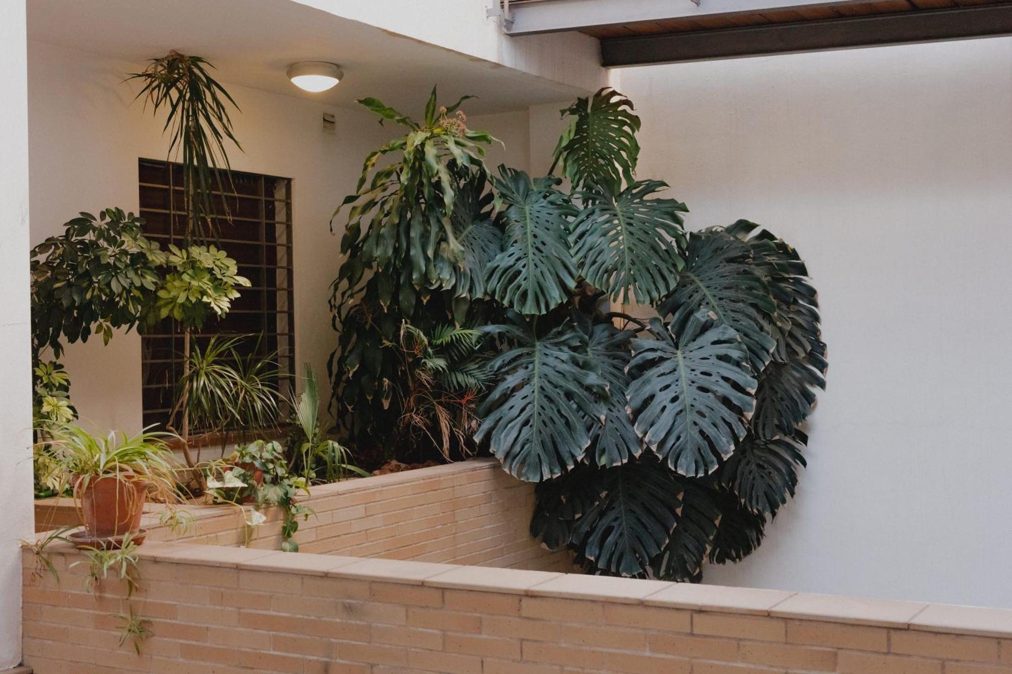Suite Zamorano Malaga Exterior photo
